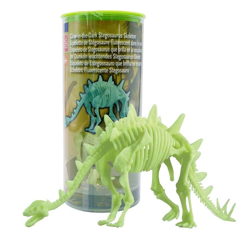 Edu-Toys - Glow in the Dark - Stegosaurus Skeleton - 26cm