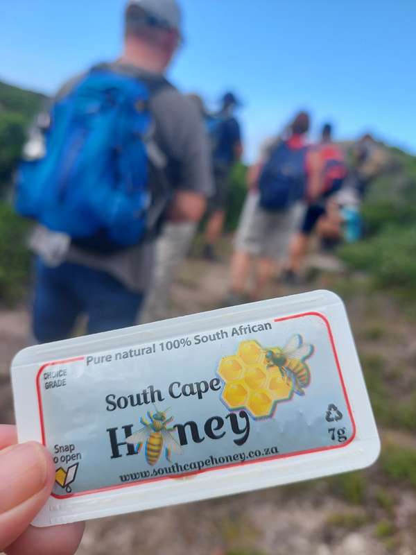 South Cape Honey Single Sachets