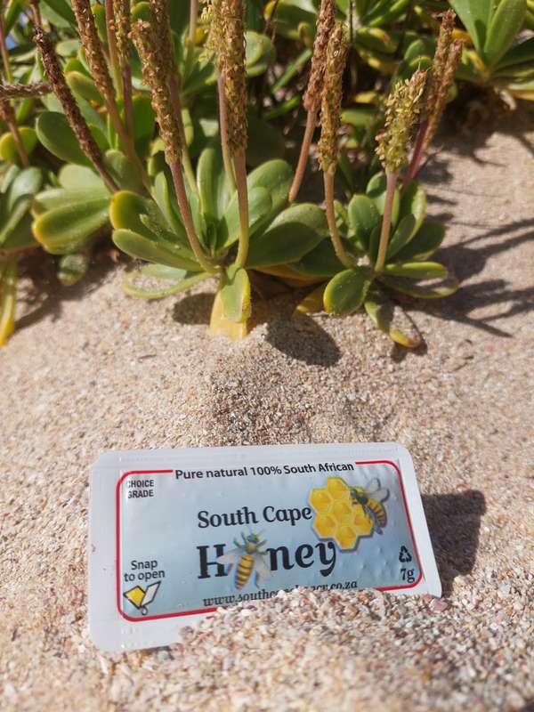 South Cape Honey Single Sachets