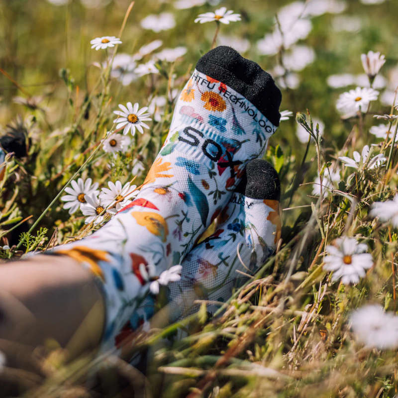 Sox Meadow Socks