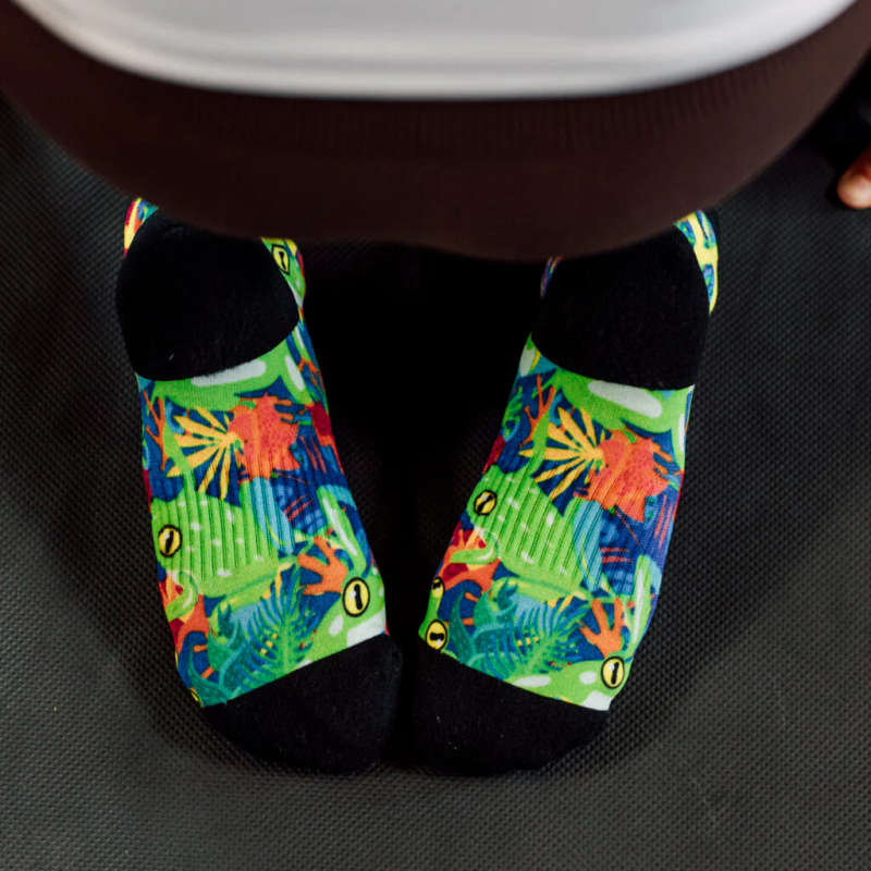 SoxBirds and Frogs Tab Combo Socks