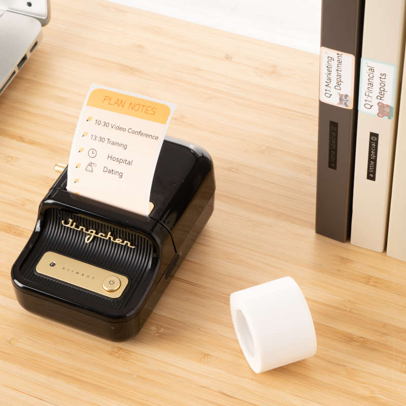 Niimbot B21 Portable Thermal Label Printer - Black