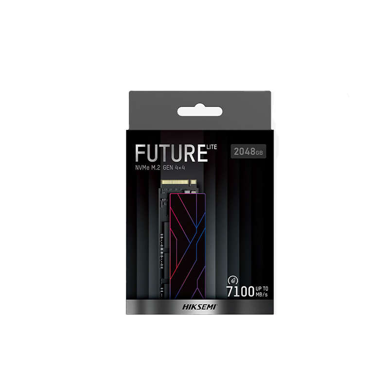 Hikvision Future Lite 1TB Gen4 M.2 NVMe 3D NAND SSD