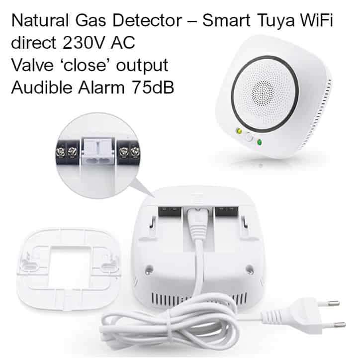 Smart Natural Gas Detector CH4 | Valve Close & Alarm | WiFi Tuya Smart Life