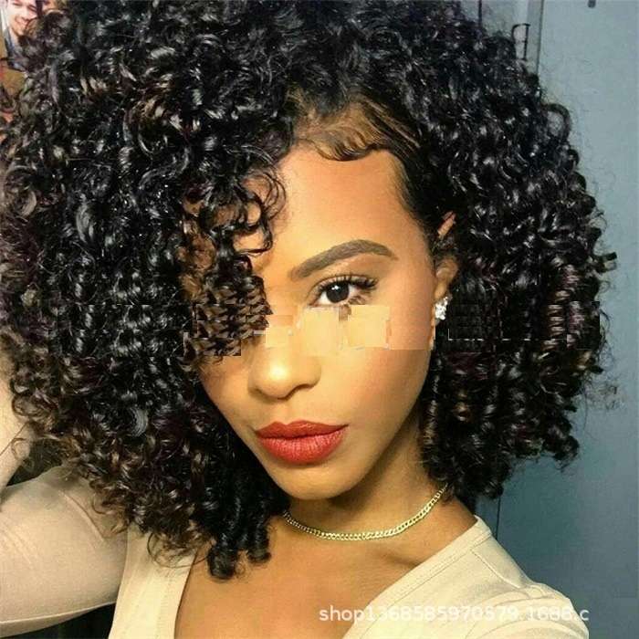Afro Kinky Curly Wig Synthetic Hair For Women Female Women's Wigs