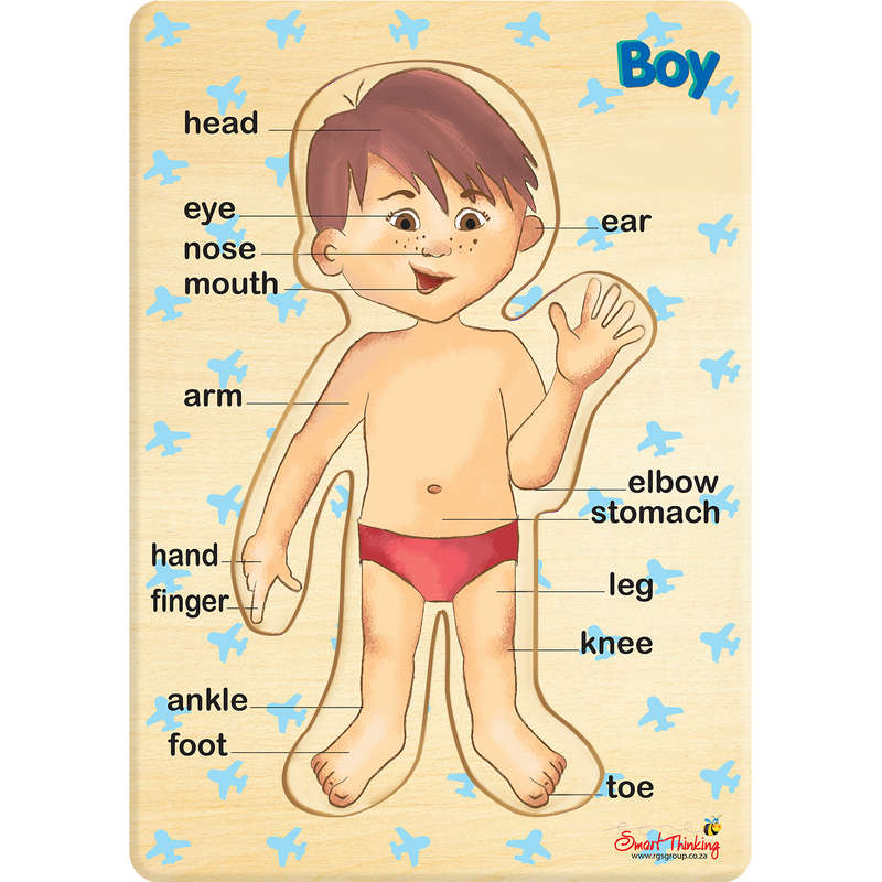 My Body - Boy - Peg Puzzle 6pc