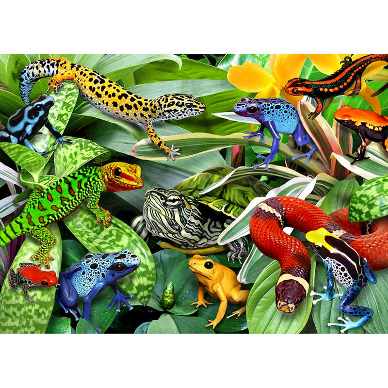 Reptiles 50pc