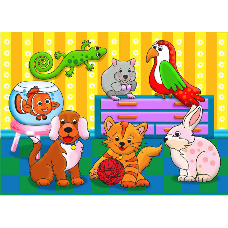 Pets 12pc