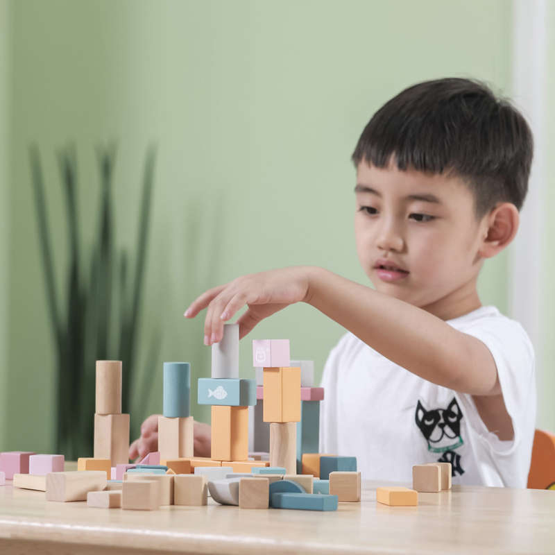 Wooden Blocks 60pc