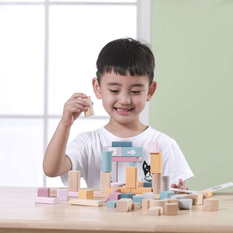 Wooden Blocks 60pc