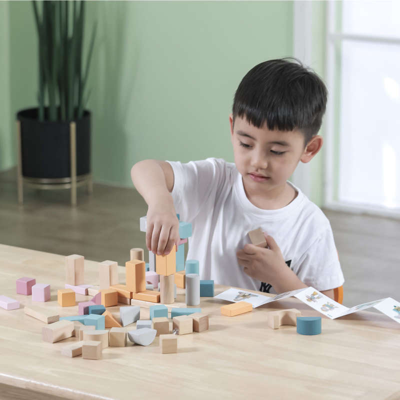 Wooden Blocks 60pc