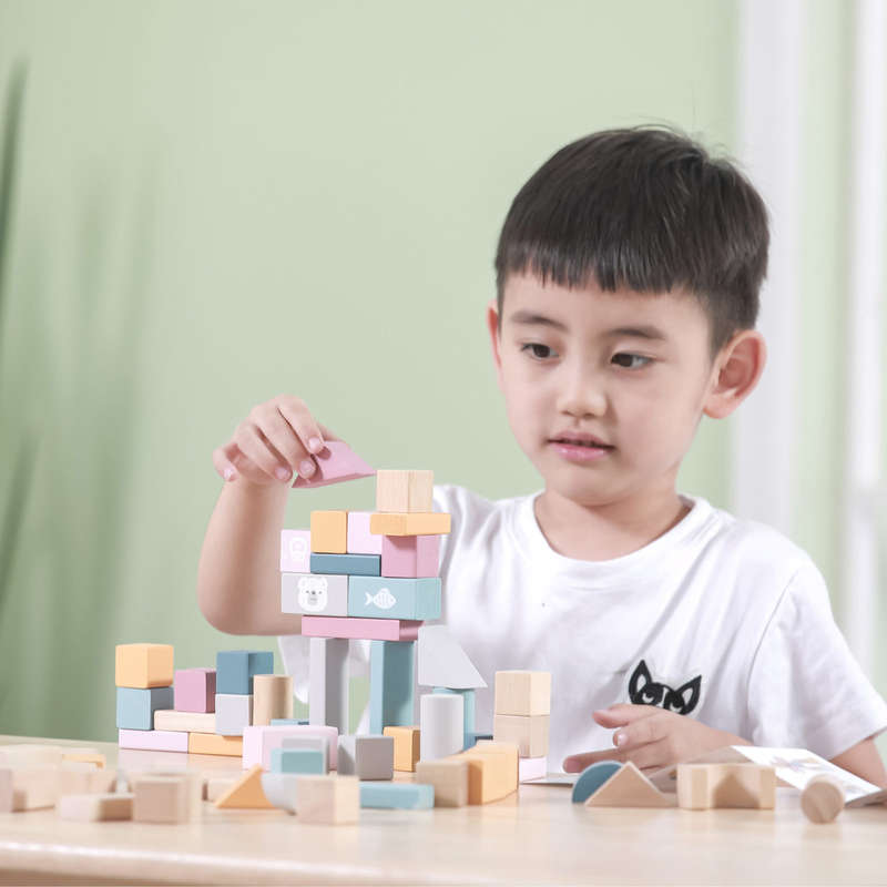 Wooden Blocks 60pc