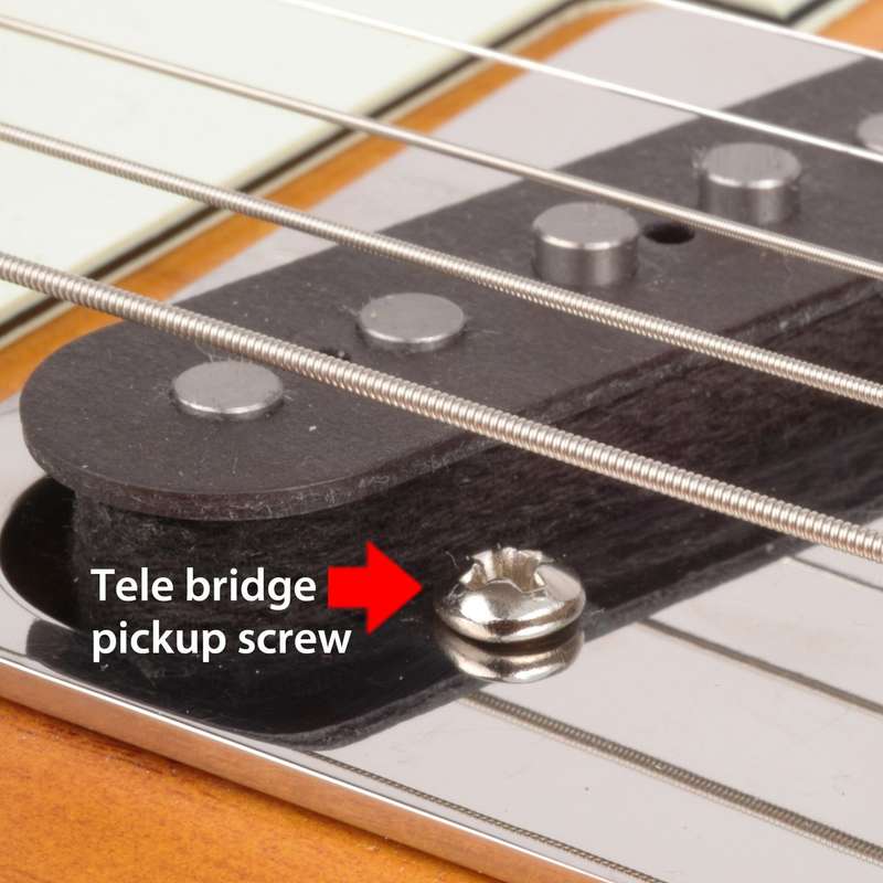 Telecaster Bridge Pickup Screws and Springs - Set of 3