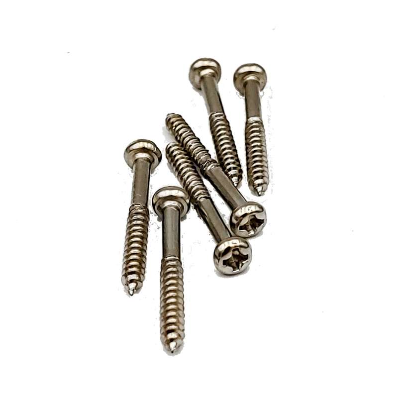 Guitar Bridge Screws for 6 point bridge - Set of 6 (Vintage)