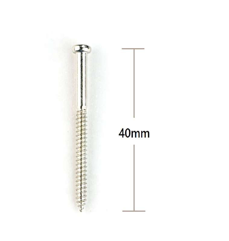 Bass Pickup Screws (Single)