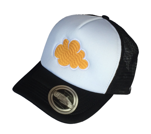 Vape Store Cap