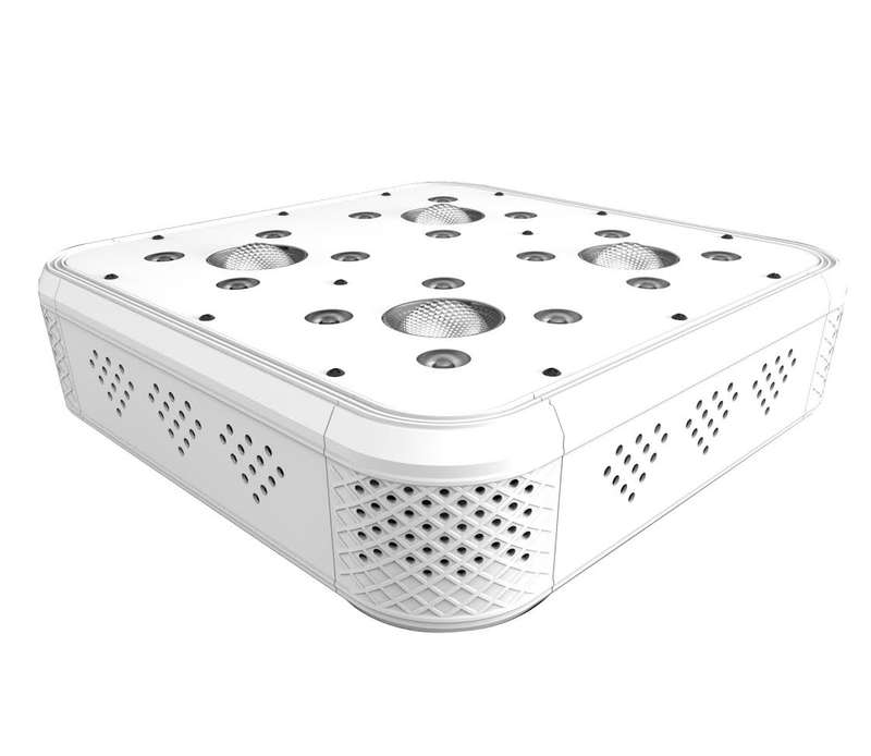 LED Grow Light