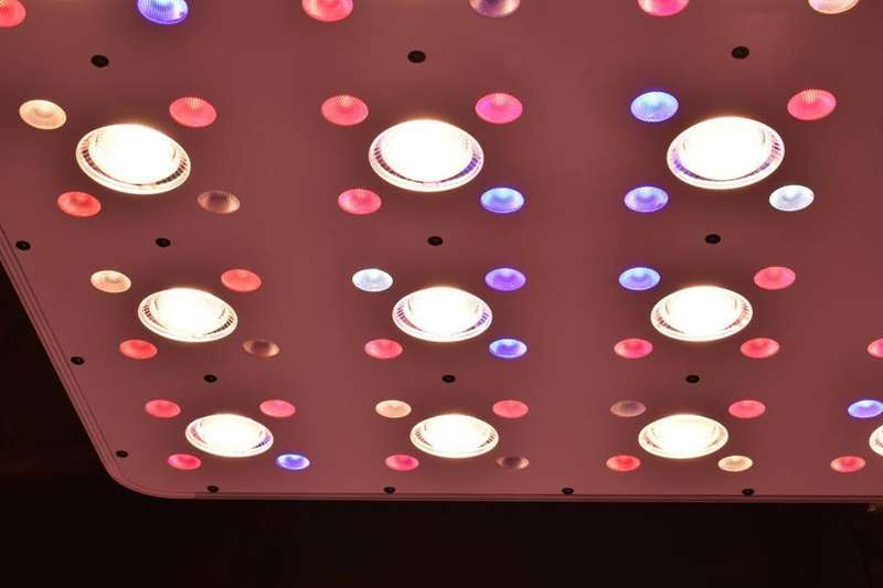 LED Grow Light