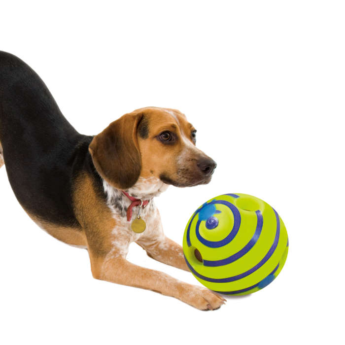 i-Play Pets Giggle Ball | Dog Play Ball