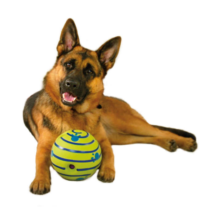 i-Play Pets Giggle Ball | Dog Play Ball