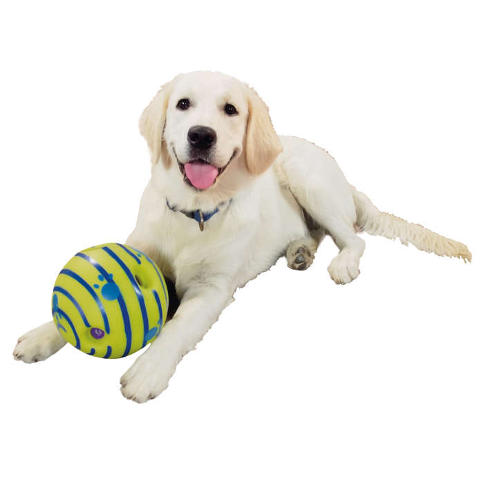 i-Play Pets Giggle Ball | Dog Play Ball