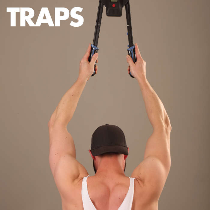 Maxxus Muscle Max