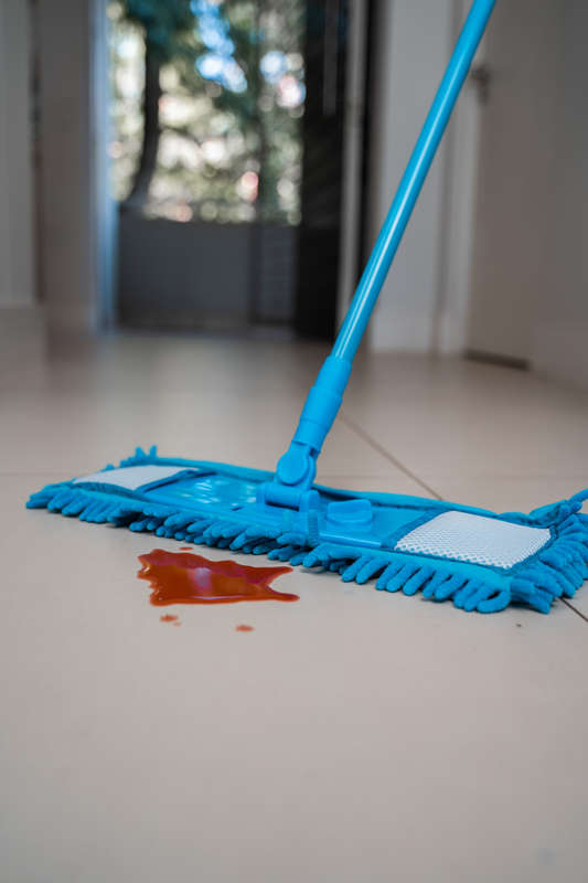 Floorwiz Ecofibre Mop (Blue) | Microfibre Mop