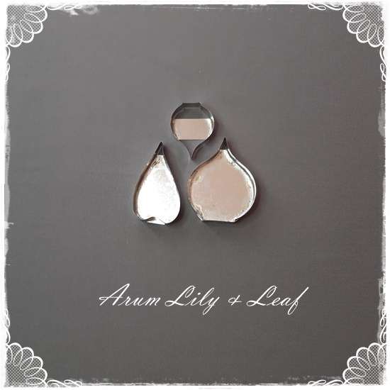 Arum Lilly and Leaf Cutter