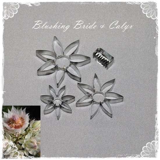 Blushing Bride and Calyx Cutters