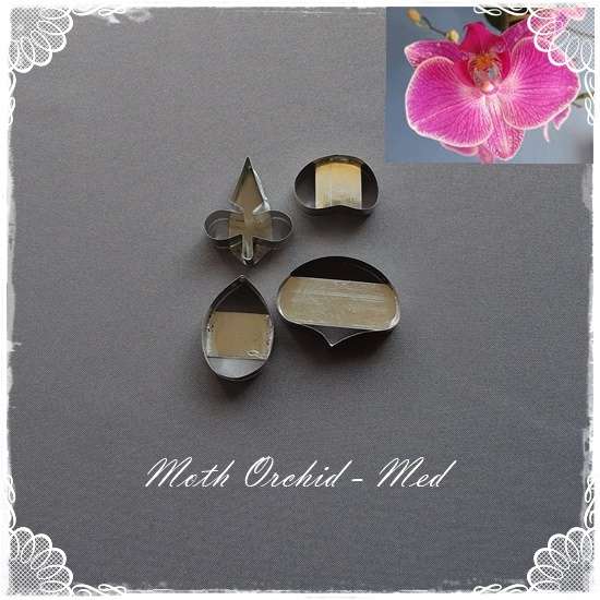 Moth Orchid Cutter (Medium)
