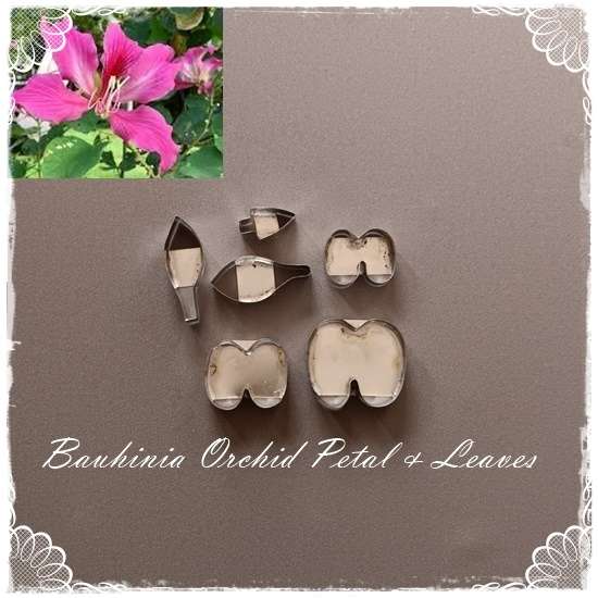 Bauhinia Orchid and Leaves Cutters