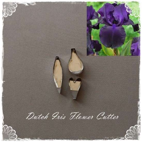 Dutch Iris Flower Cutter