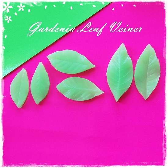Gardenia Leaf Veiners