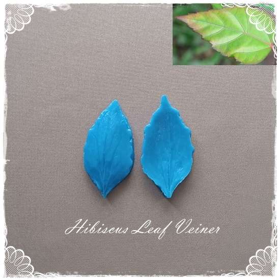 Hibiscus Leaf Veiner