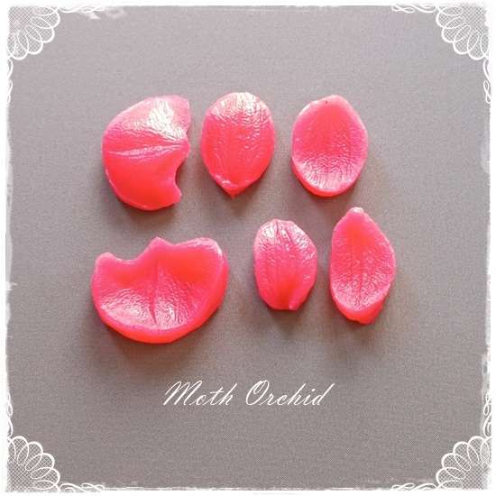 Moth Orchid Petal Veiner