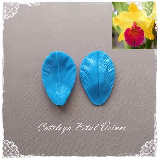 Cattleya Petal Veiner
