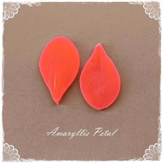 Amaryllis Petal Veiner