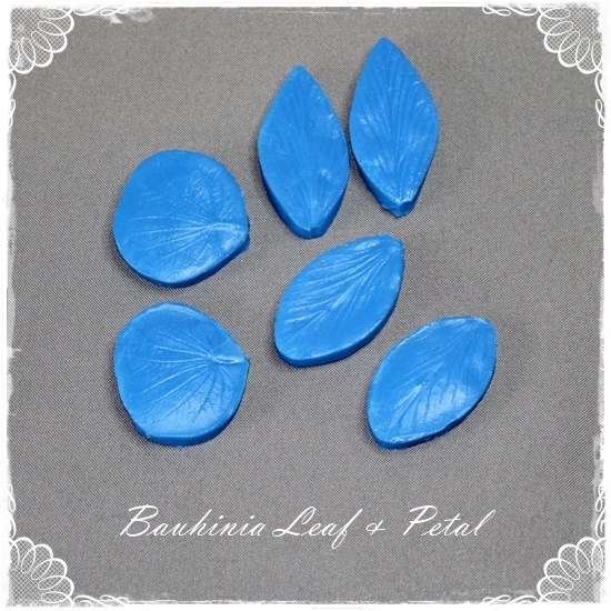 Bauhinia Leaf and Petal Veiner