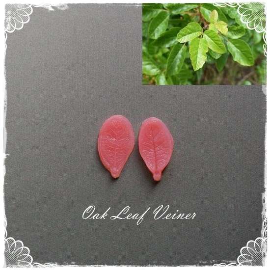 Oak Leaf Veiner