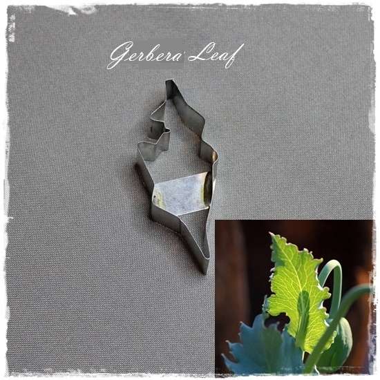 Gerbera Leaf Cutter