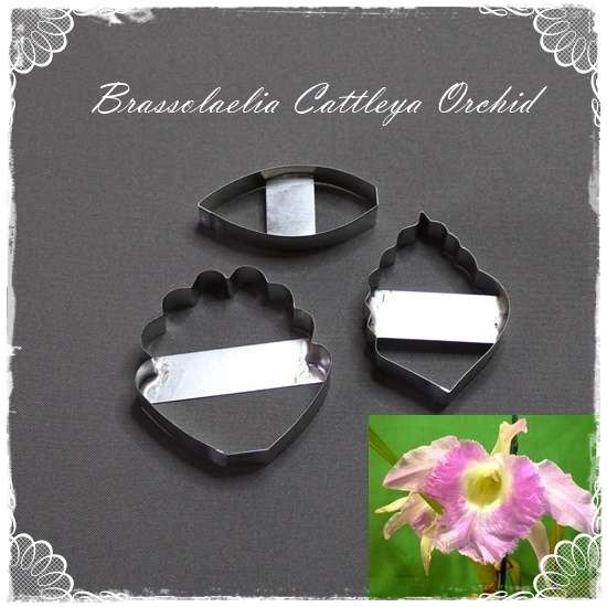 Brassolaelia Cattleya Orchid Cutters
