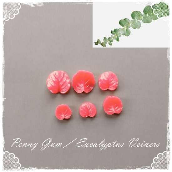 Penny Gum/ Eucalyptus Veiner