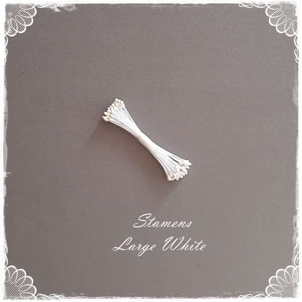 Stamens- Large White