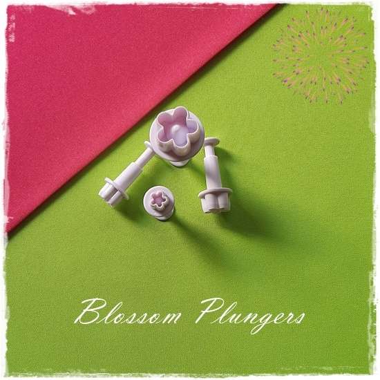 Blossom Plunger