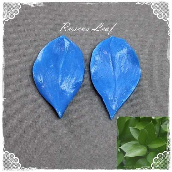 Ruscus Leaf Veiner
