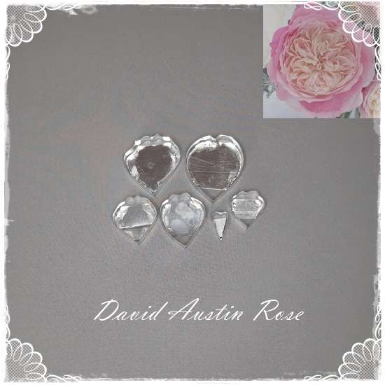 David Austin Rose Cutters
