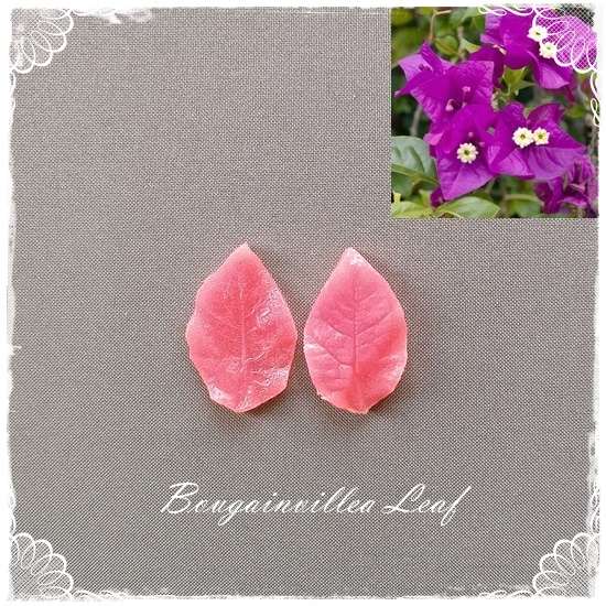 Bougainvillea Leaf Veiner