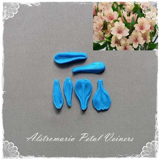 Alstromaria Petal Veiners