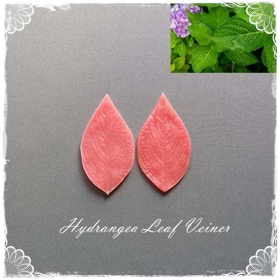 Hydrangea Leaf Veiner