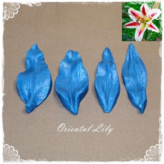 Oriental Lily Petal Veiner